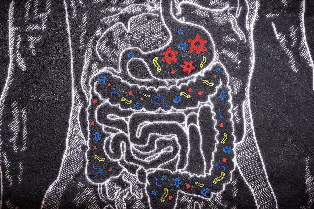 Should You Take Probiotics With Antibiotics? 
