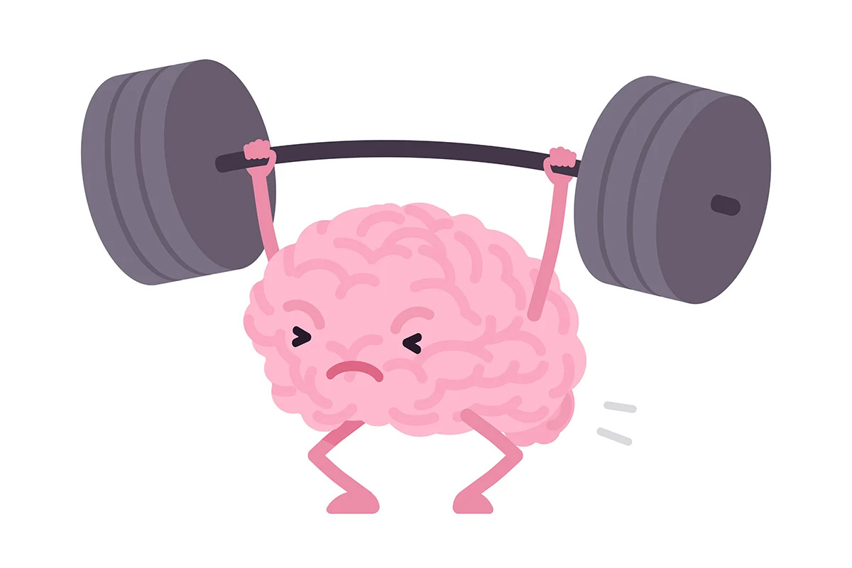 胆碱：大脑能量的基石