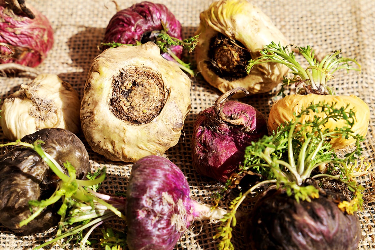 玛咖健康的奥秘：辣木属植物是如何助力于平衡生活方式的？