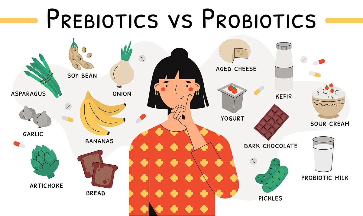 Prebiotic vs Probiotic Chart