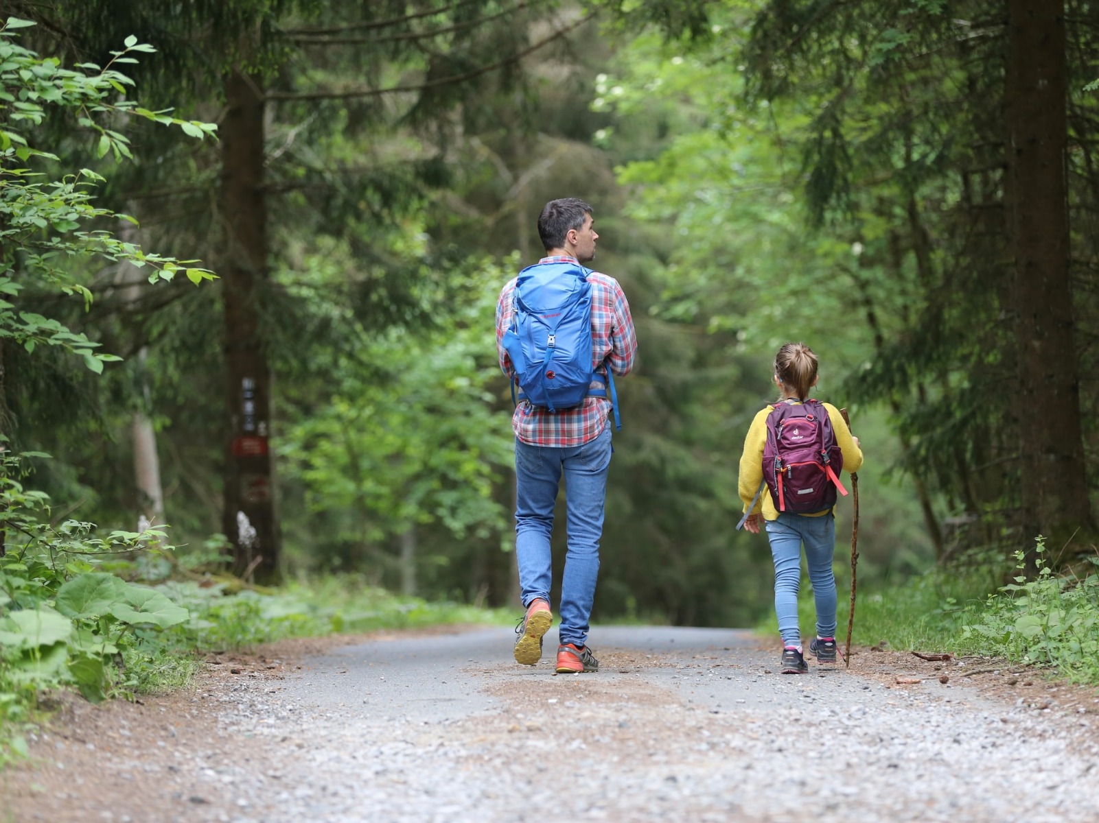 Father and son hiking to get low-impact exercise